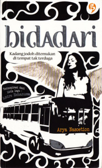 Image of Bidadari; kadang jodoh ditemukan di tempat yang tak terduga