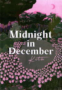 Image of Midnight in december