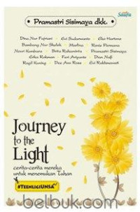 Image of Journey to the light